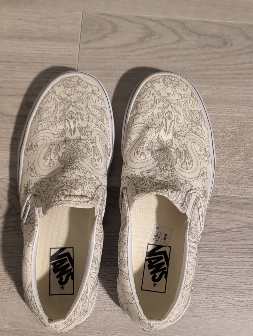 Vans Desert Marsh Skull Slip Ons